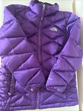 The North Face Kids Purple 550 Puffer Jacket